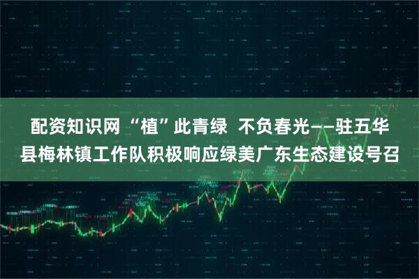 配资知识网 “植”此青绿  不负春光——驻五华县梅林镇工作队积极响应绿美广东生态建设号召