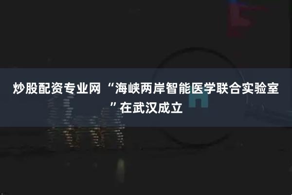 炒股配资专业网 “海峡两岸智能医学联合实验室”在武汉成立